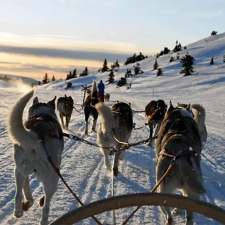 Apartmán Cozy Aurora Corner - & Charming Tromsø